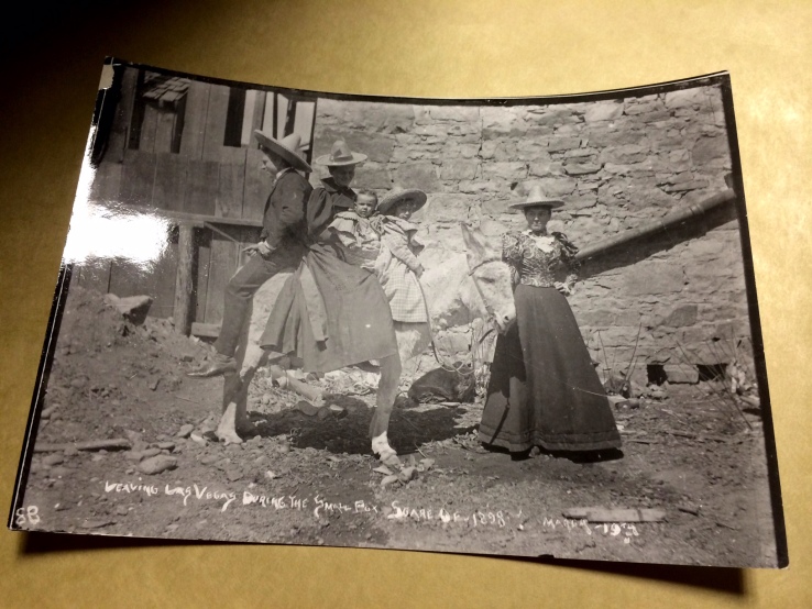 Burro Photograph- Palace of the Governors Photo Archives
